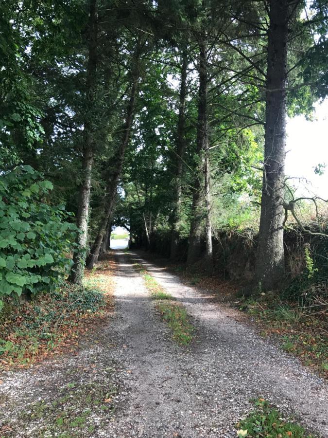 Parc Ar Brun Bihan Minihy-Treguier ภายนอก รูปภาพ